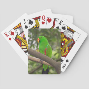 Baralho Retrato de Papagaio Verde