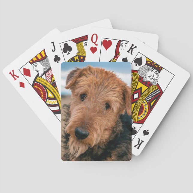 Baralho Retrato de um Airedale Terrier (Verso)