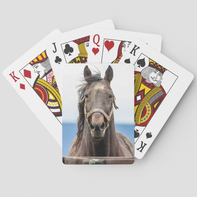 Baralho Retrato de um cavalo (Verso)