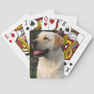 Baralho Retrato do Labrador Retriever, Hilton