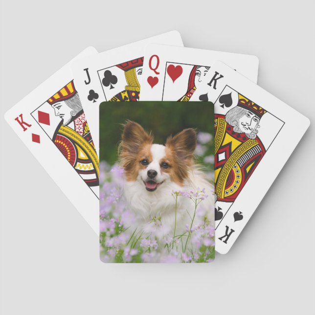 Baralho Retrato romântico bonito do cão de Papillon, (Verso)