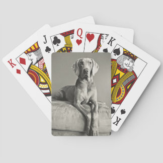 Baralho Retrato Weimaraner