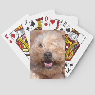 Baralho Retrato Wheaten brandamente revestido de Terrier