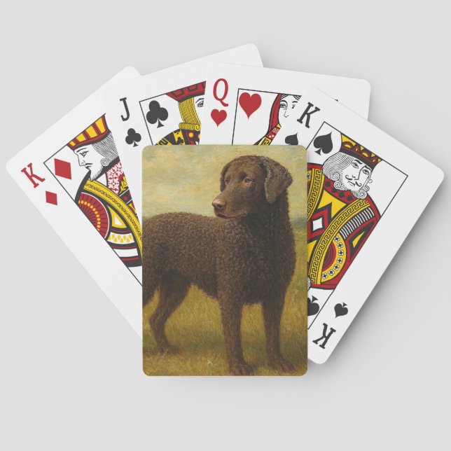 Baralho Retriever de Cabelo Ondulado (Verso)