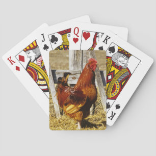 Baralho Rhode Island Red Rooster