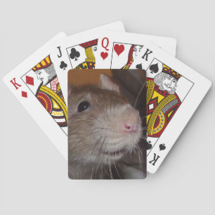 Baralho Rindo de cartas de jogar rato