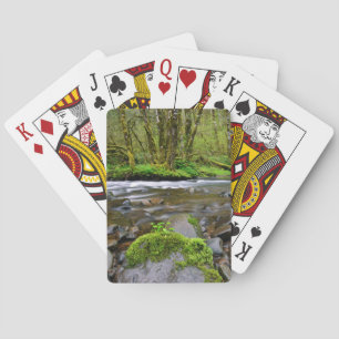 Baralho Rio em floresta verde, Oregon