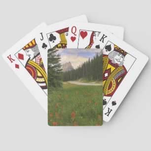 Baralho Rockies canadenses