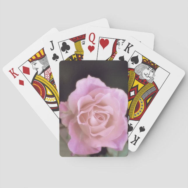 Baralho Rosa rosa magnífica (Verso)