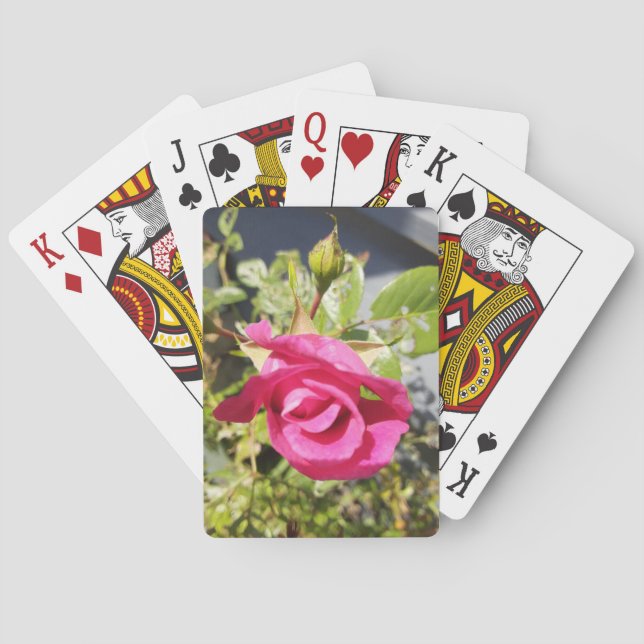 Baralho Rosa Rosa Rosa Rosa Rosa #2 (Verso)