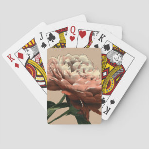 Baralho Rosa vermelha Ruby com Destaques Brancos