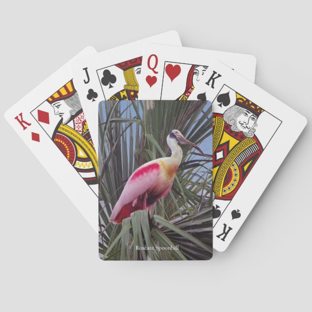 Baralho Roseate Spoonbill (Verso)