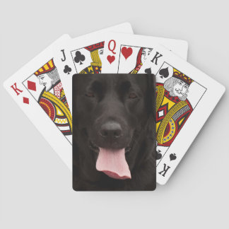 Baralho Rosto de cachorro preto