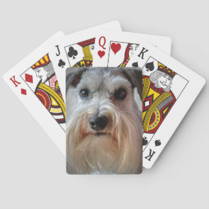 Baralho Rosto de Cachorro Schnauzer