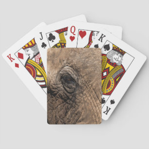 Baralho Rosto de um Elefante