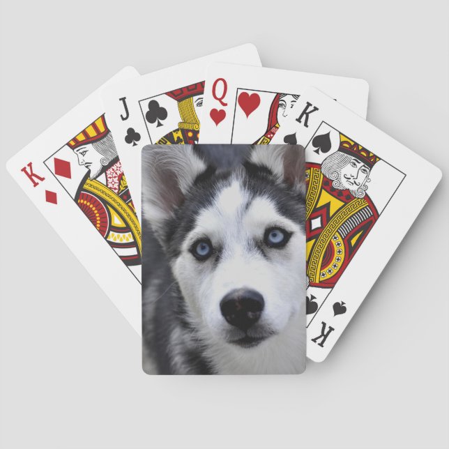 Baralho Rouco Puppy Deck de Cartões (Verso)