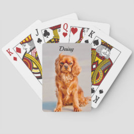 Baralho Ruby Cavalier King Charles Spaniel Dog