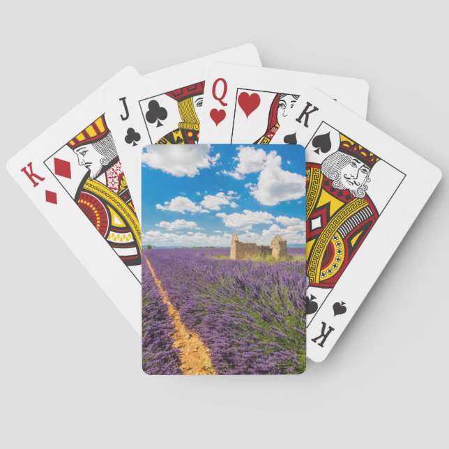 Baralho Ruin in in Lavanda Field, França (Verso)