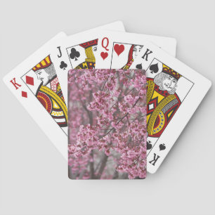 Baralho Sakura Cherry Blossoms Fluindo Rosa