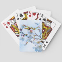 Sakura - Flor de Cereja Japonês