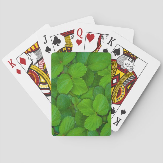 Baralho Santo Basil Tulsi Green Mint Folhas (Verso)