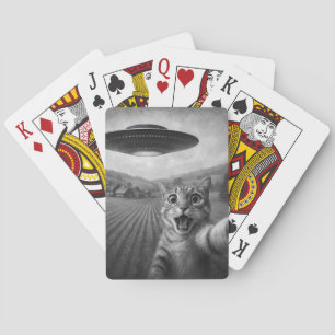 Baralho Selfie De Gato Com Presentes De Gato Engraçado De 