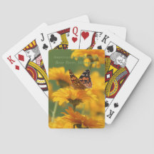 Senhora americana Borboleta no Heliopsis