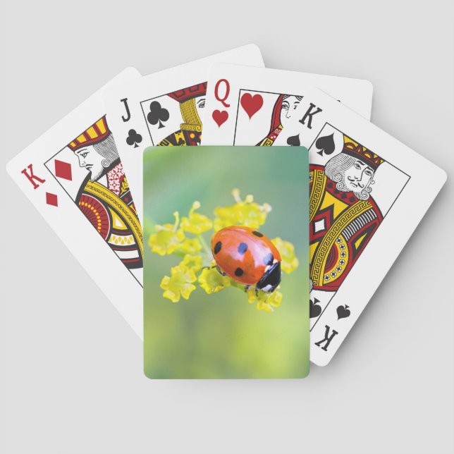 Baralho senhora no topo (Verso)