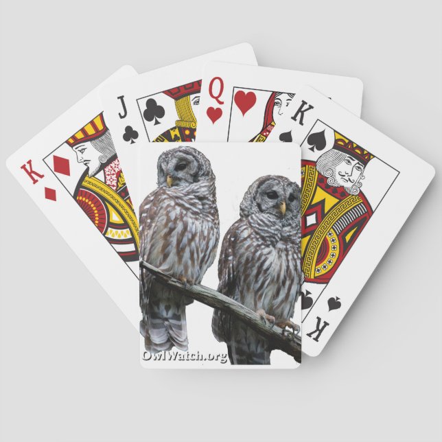 Baralho Sept 2014 - OwlWatch Owls (Verso)