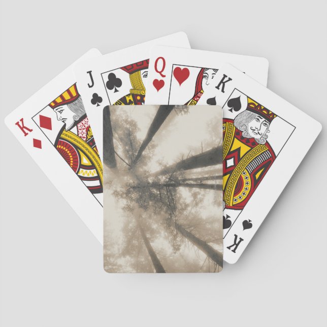 Baralho Sequoias, Norte da Califórnia (Verso)