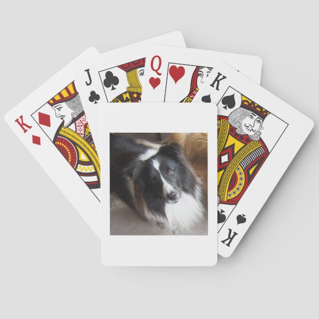 Baralho Shetland Sheepdog Black and White (Verso)