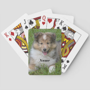 Baralho Shetland Sheepdog - Sheltie Puppy Dog