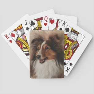 Baralho Shetland Sheepdog Sheltie sorrindo