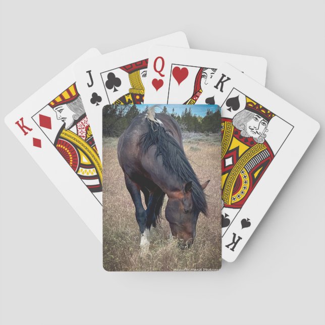 Baralho Skeeter (Verso)