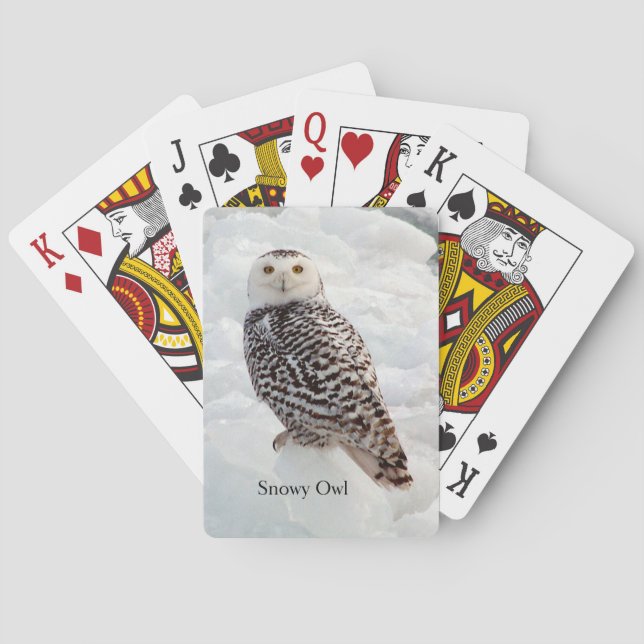 Baralho Snowy Owl jogando cartas (Verso)