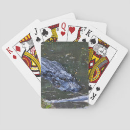 Baralho Sombra nas Águas Rasas