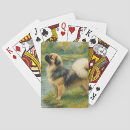 Baralho Spaniel Tibetano