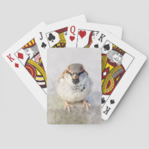 Sparrow - O Guerreiro