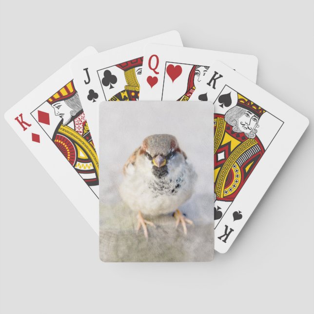 Baralho Sparrow - O Guerreiro (Verso)