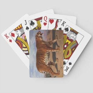Baralho Stalking Tiger (por Rosa Bonheur)