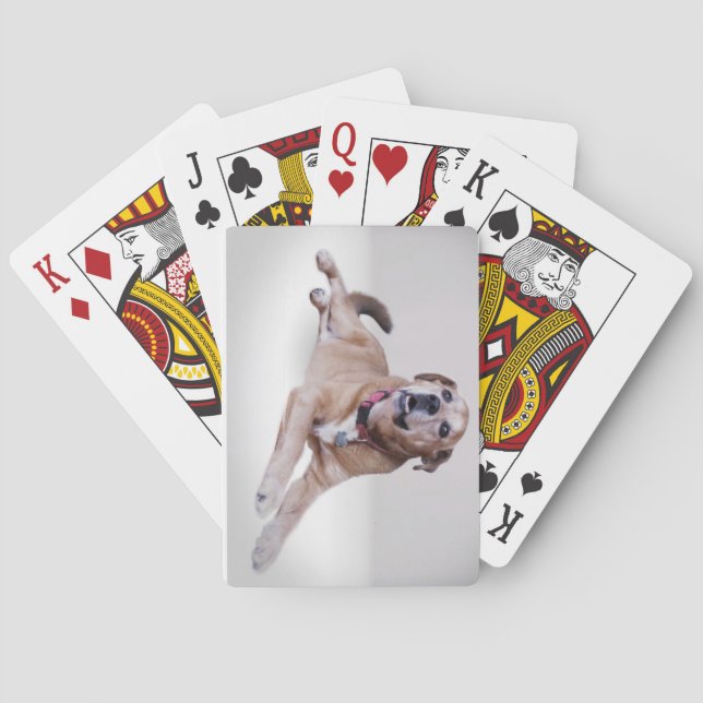 Baralho Sua foto de estimação em cartas de jogar (Verso)