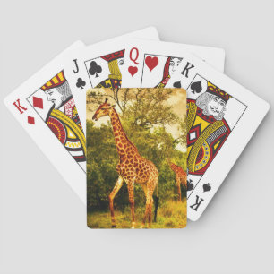 Baralho Sul - girafas africanos