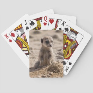 Baralho "Sunny Days: Baby Meerkat's Beach Adventure"