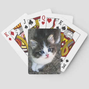 Baralho SUPER CUTE Kitten