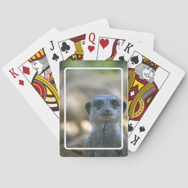 Baralho Suricata Engraçada (Verso)