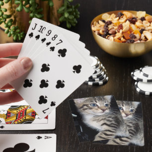 Baralho "Sussurros de Problemas: o Misquioso Tabby Kitten
