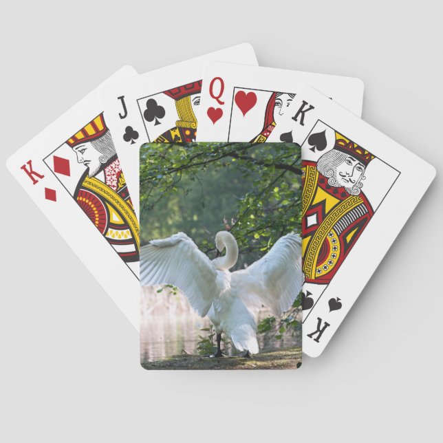 Baralho Swan com Espalhamento de Asas (Verso)