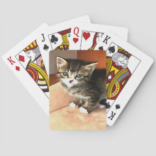 Baralho Tabby Cat Kitten Retrato