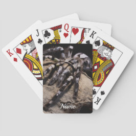 Baralho Tarântula ornamental indiana personalizada