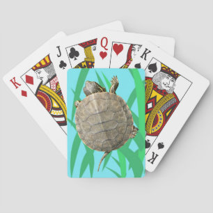 Baralho Tartaruga minúscula (Tortoise) sobre a ilustraç